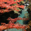 大血川渓谷